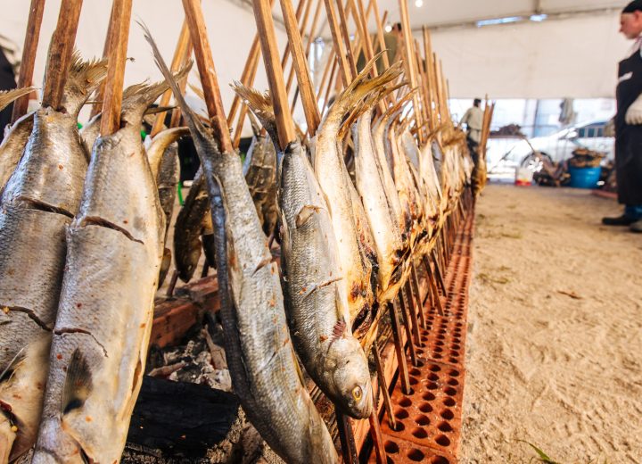 Cópia de © Guga Volks Foto - Anchovas -9804